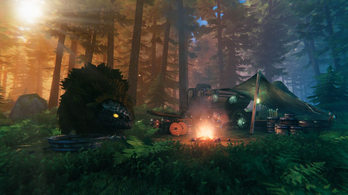 Valheim gameplay: campfire in the Black Forest with boar trophy and tents